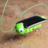 2018 Solar grasshopper Educational Solar Powered Grasshopper Robot Toy required Gadget Gift solar toys No batteries